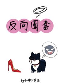 圈套小说在线阅读